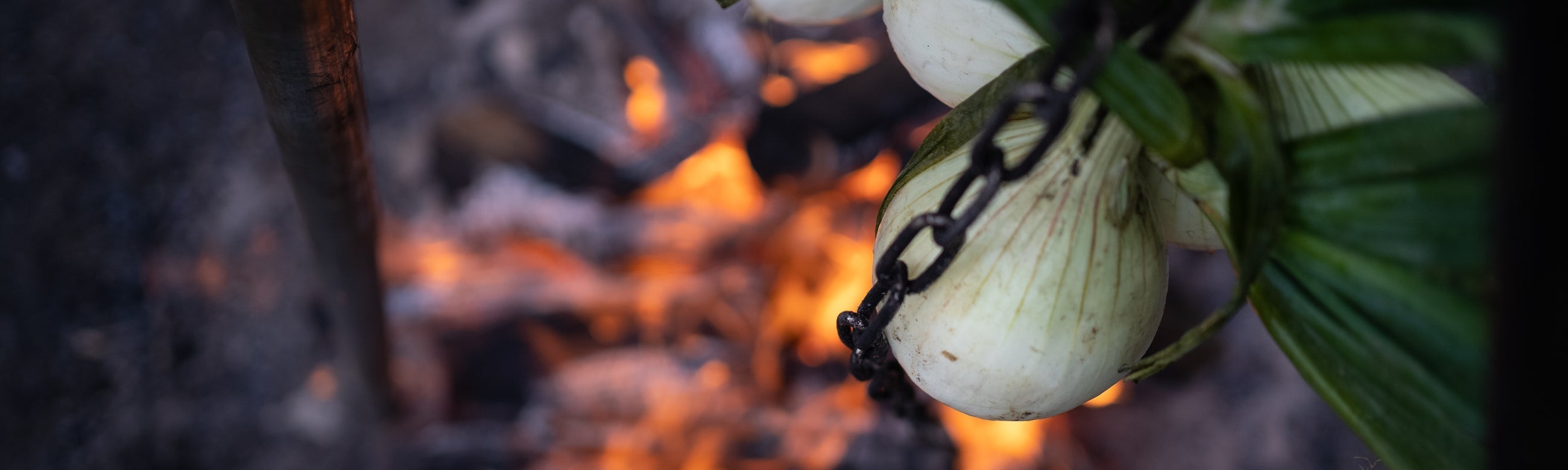 Madlavning i naturen