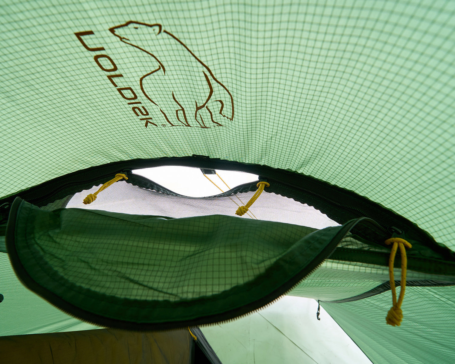 Svalbard 1 SI (2.0) Tent - Deep Forest Green