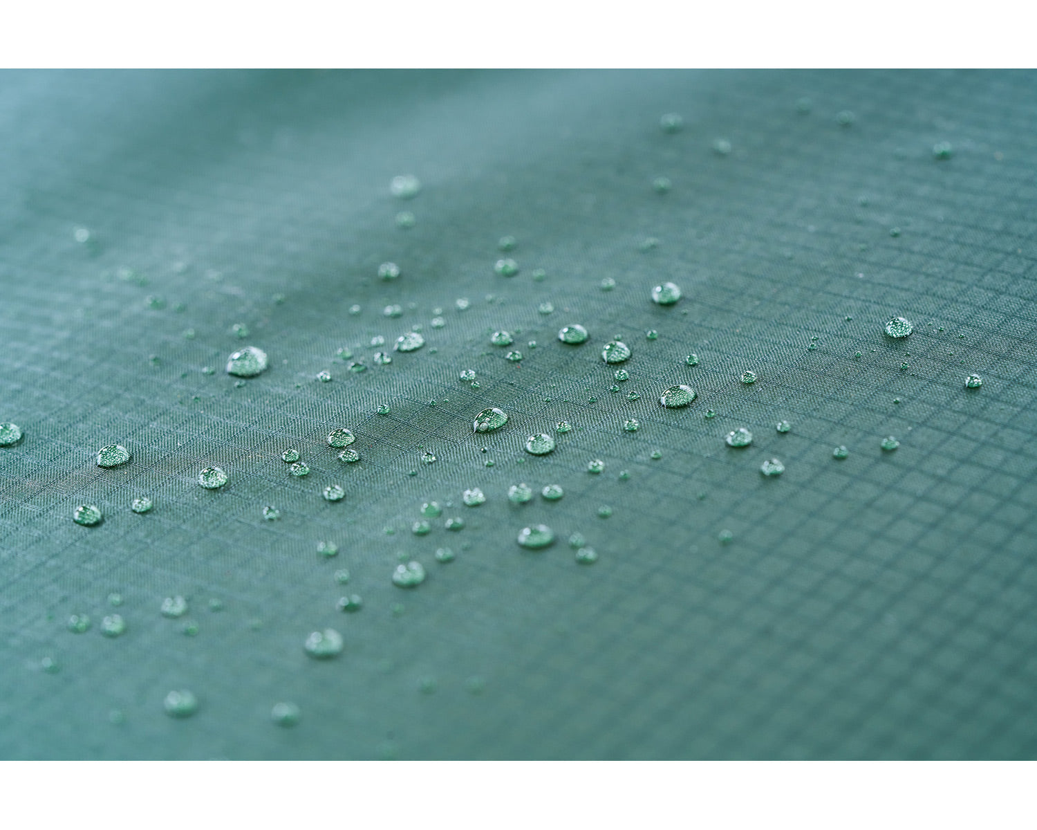 Halland 2 SI (2.0) Telt | Black Forest Green