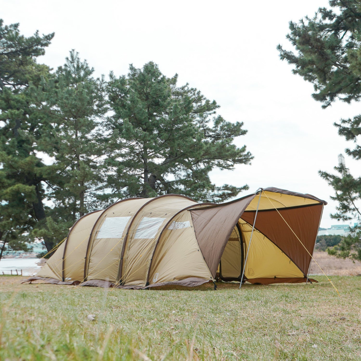 Two tents set up in a grassy area with trees in the background