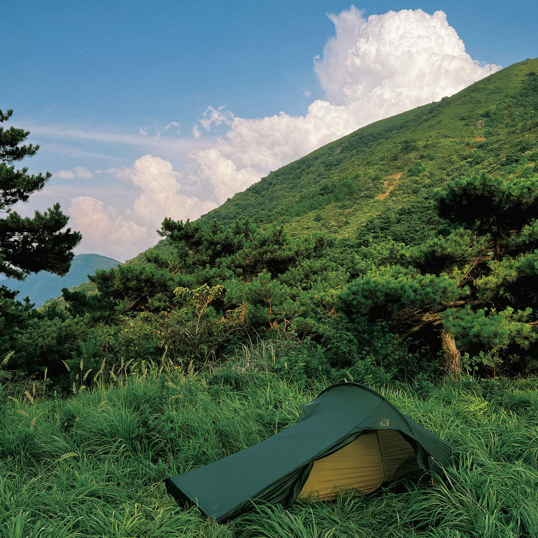 Telemark 2.2 LW (2.0) Telt - Black Forest Green