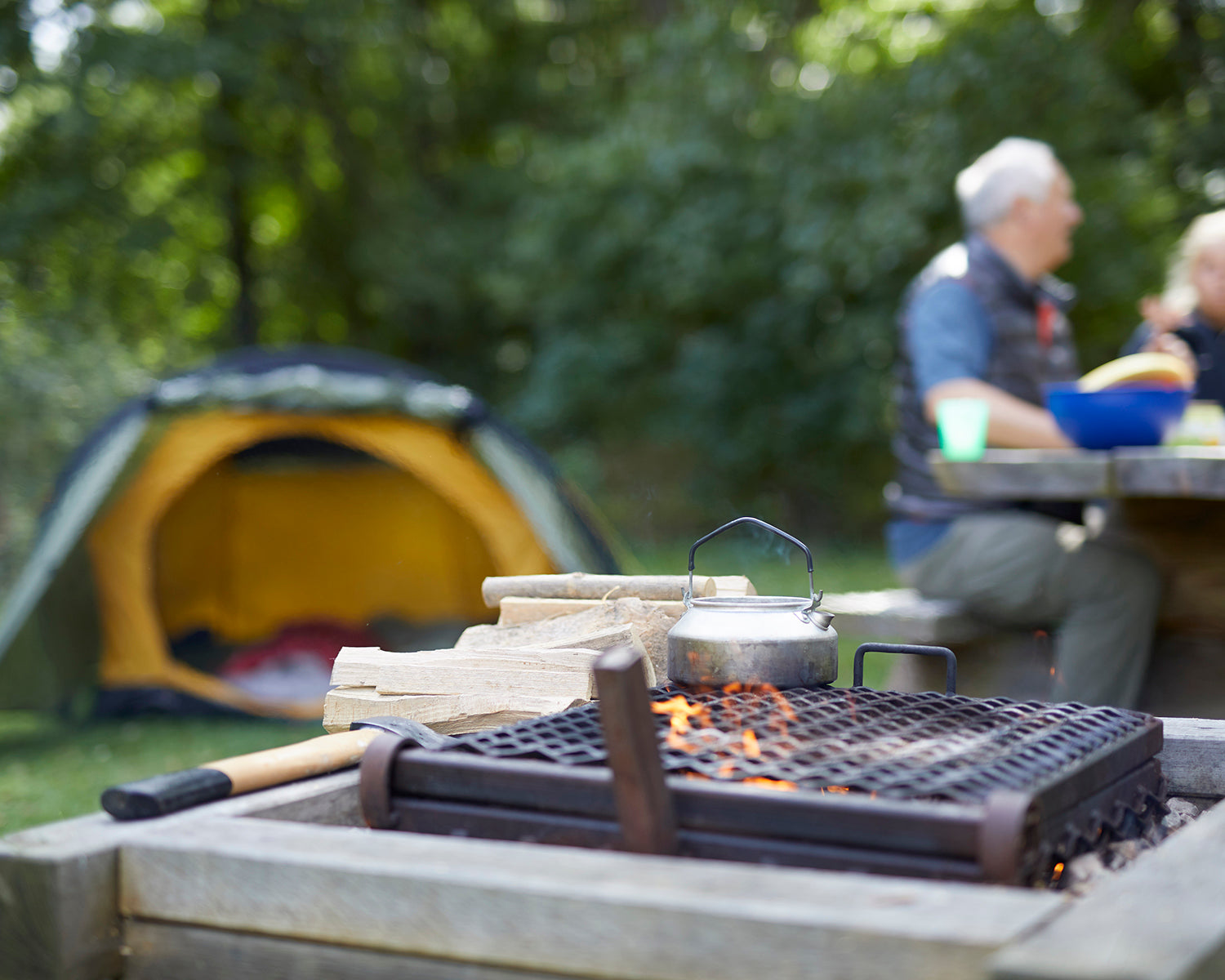 Robson 2 Tent, Capulet Olive