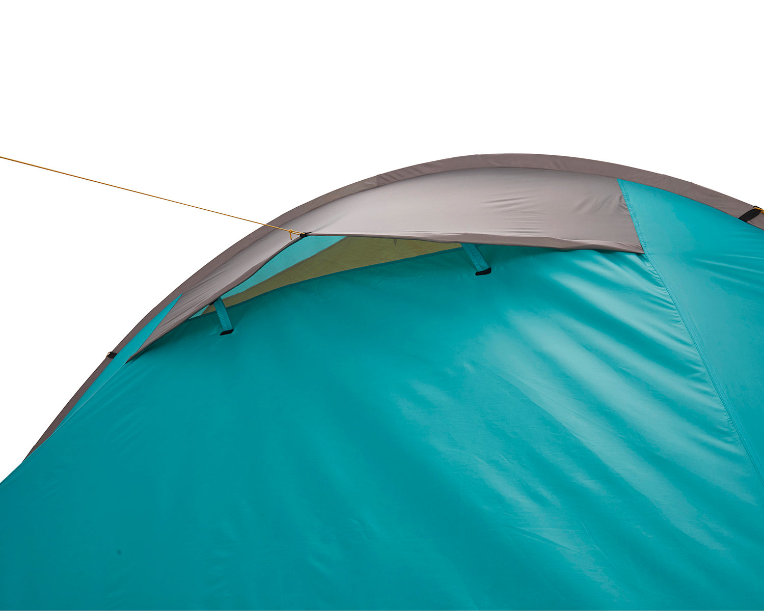 Robson 4 Tent, Blue Grass