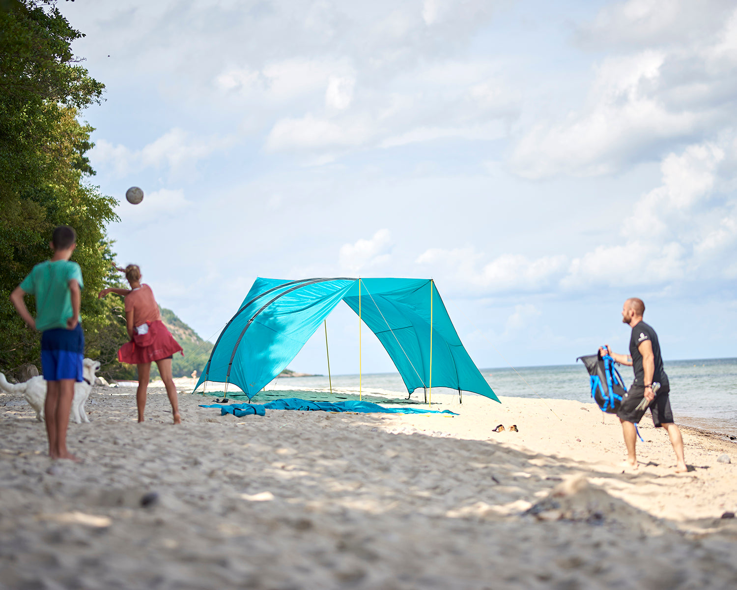 Tahuta 5 Shelter , Blue Grass