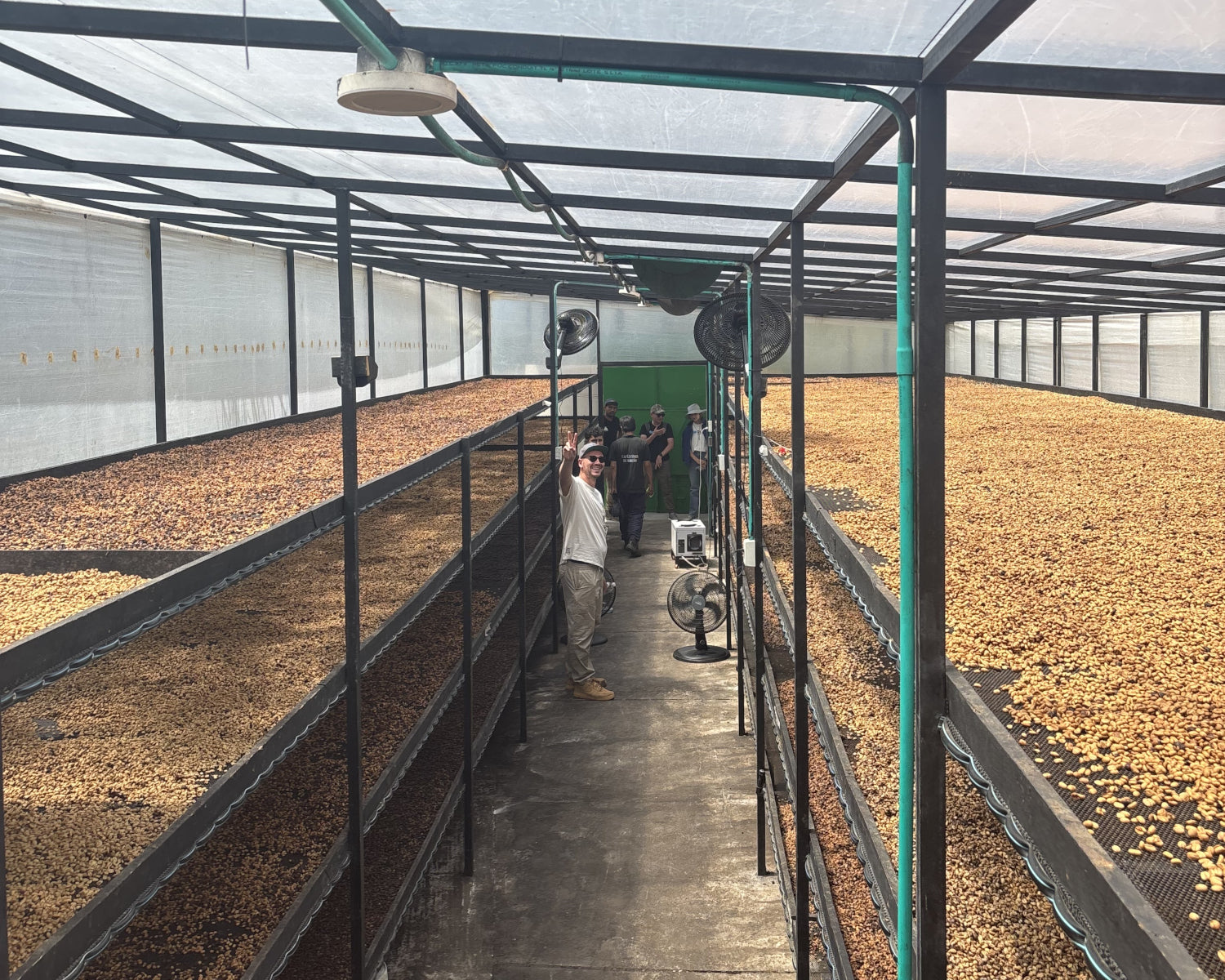 Nordisk x Prolog Drip Coffee Box – El Paraiso