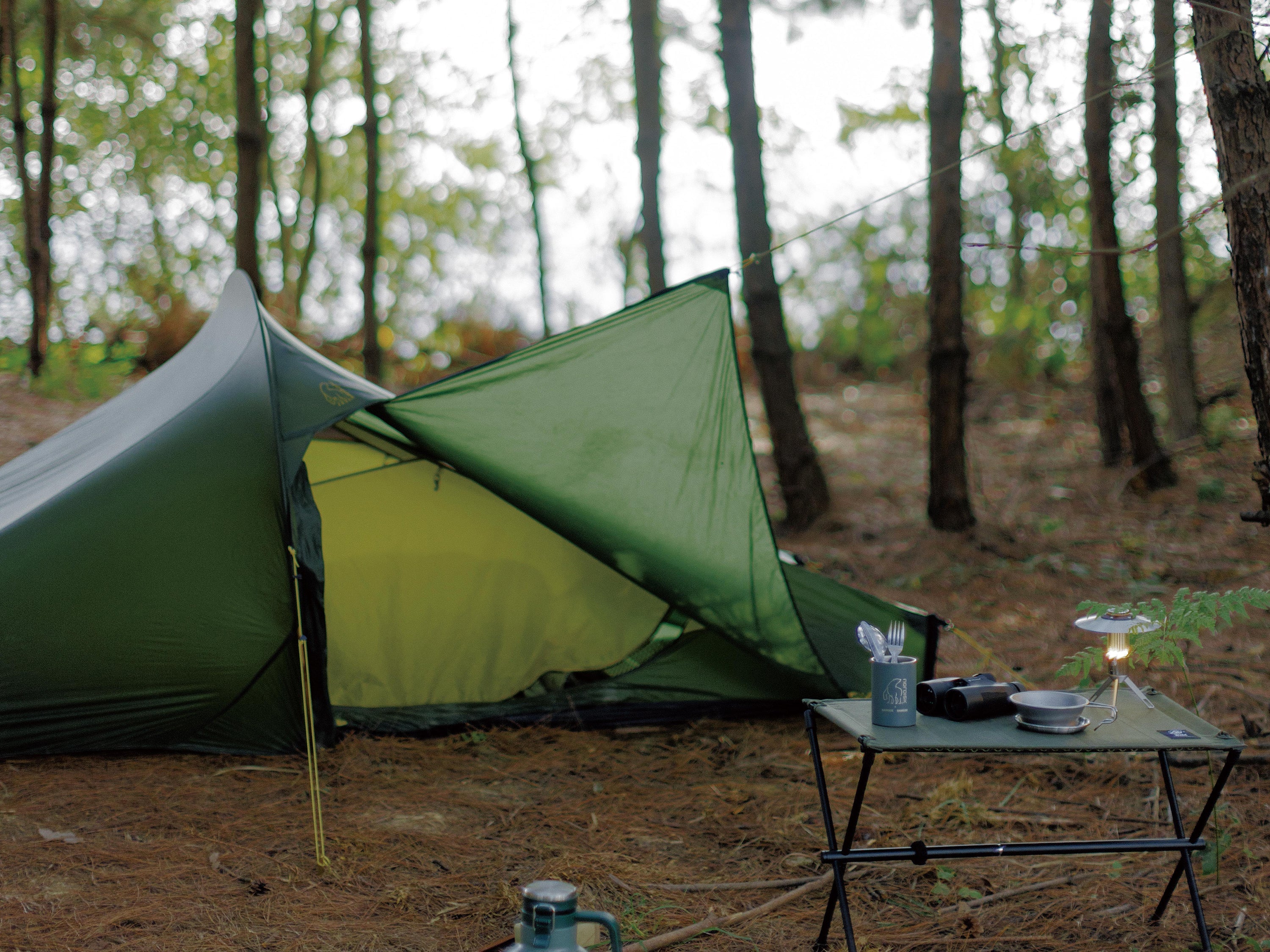 Telemark 2.2 LW Telt - 2 personer | Forest Green