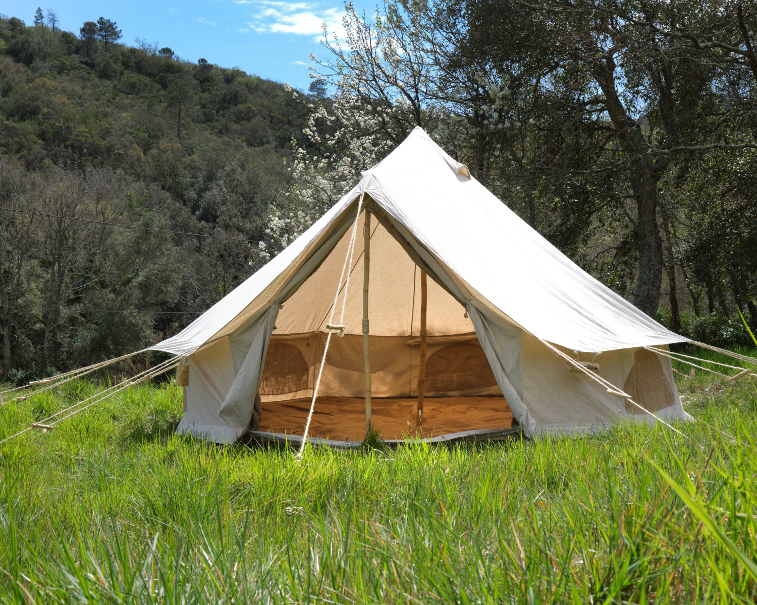 Beige bell tent in a grassy area with trees in the background