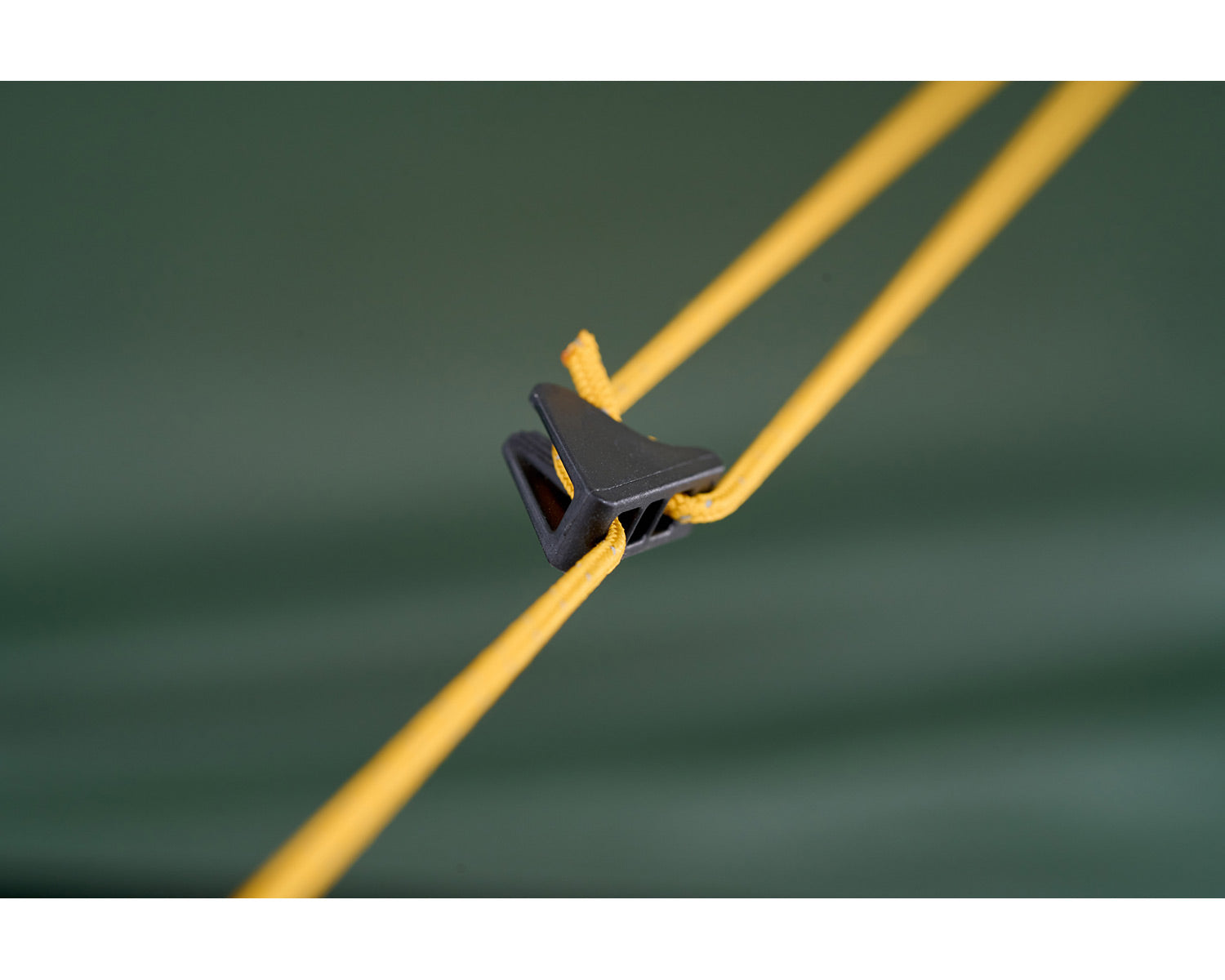 Halland 2 SI (2.0) Telt | Black Forest Green