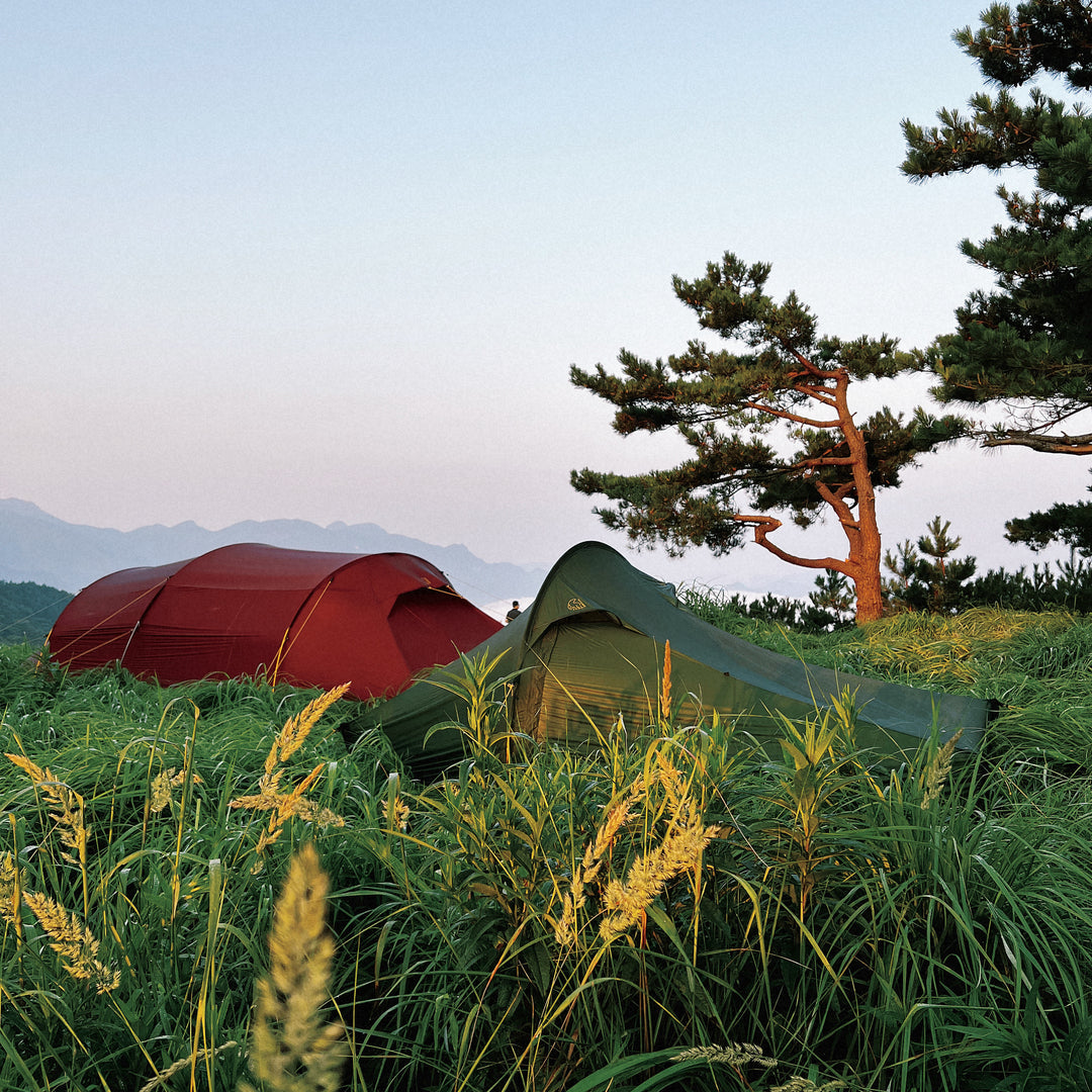 Telemark 1 LW (2.0) Telt - Black Forest Green
