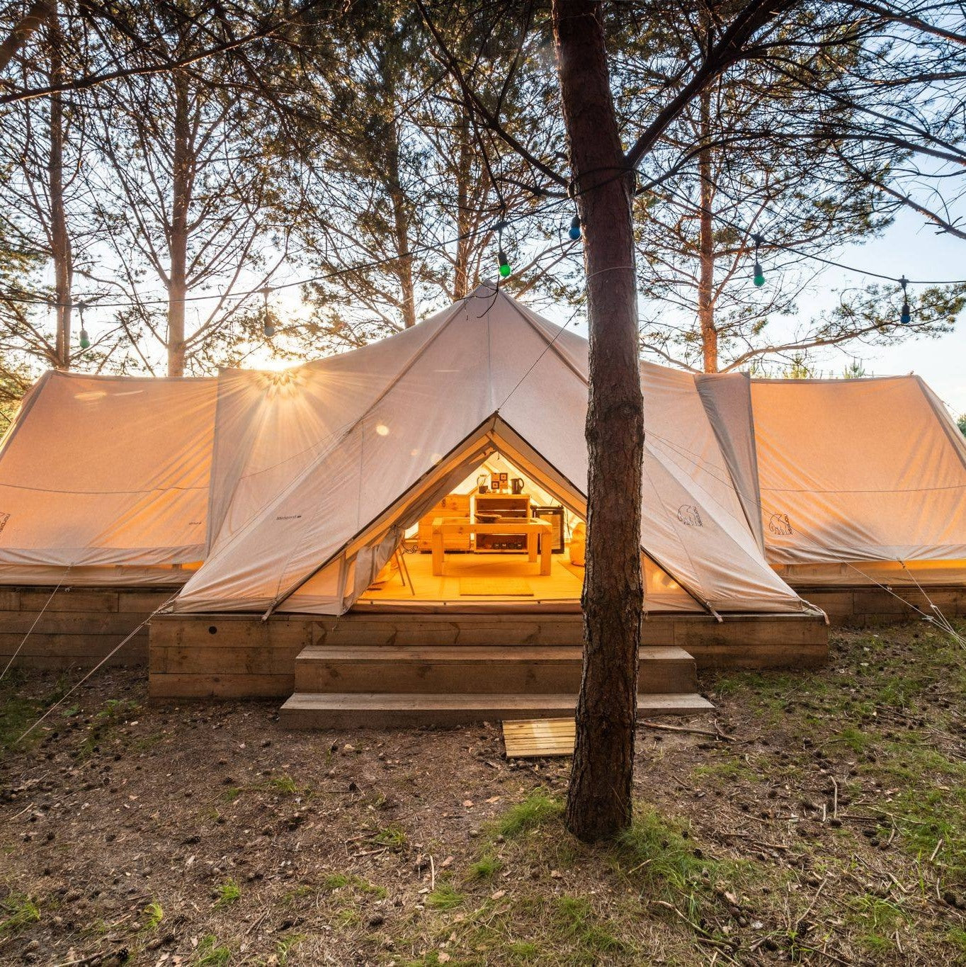Luksuriøst telt med indgang og møbler i skov ved solnedgang