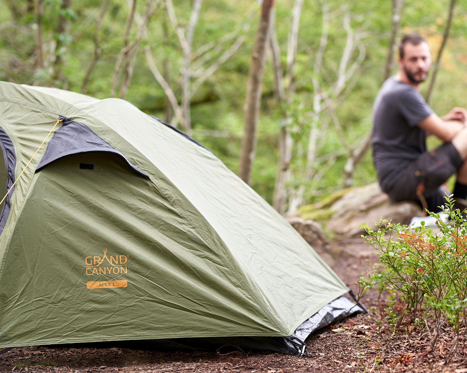 Apex 1 Tent, Capulet Olive