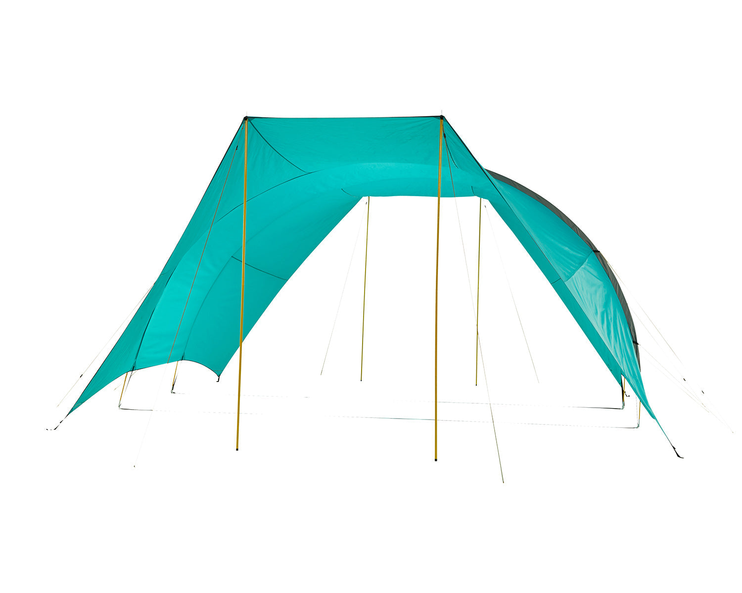 Tahuta 5 Shelter , Blue Grass