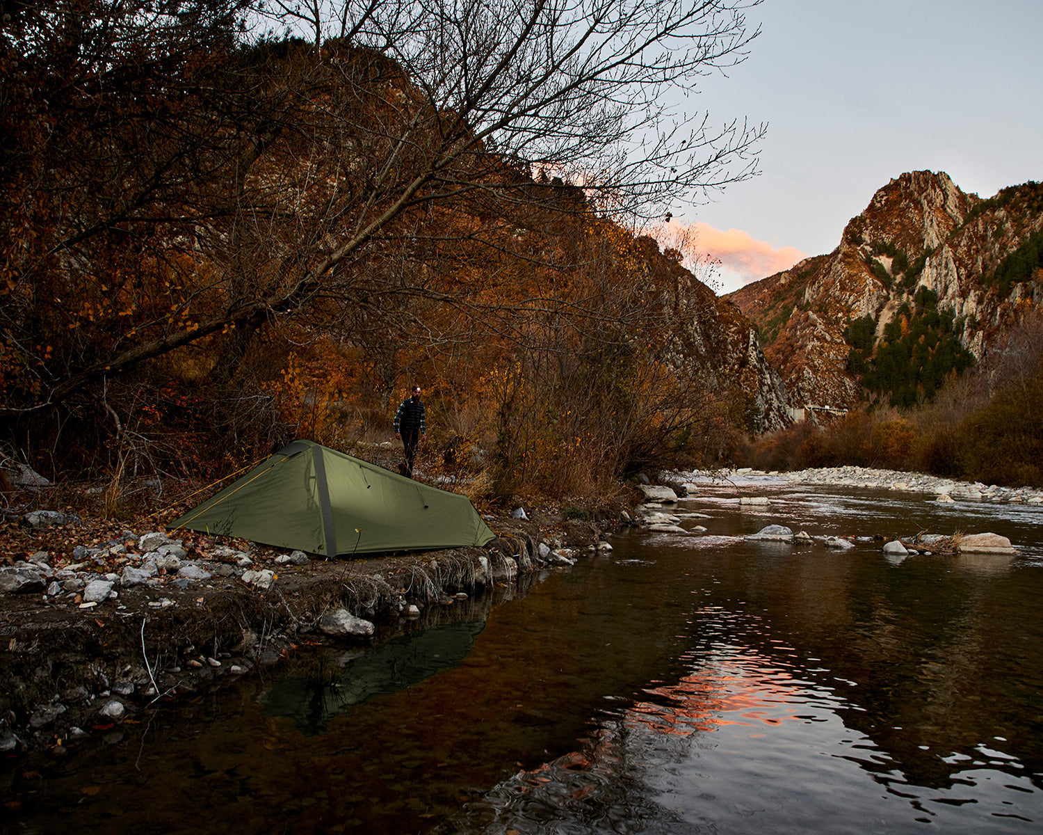 Richmond 1 Tent, Capulet Olive