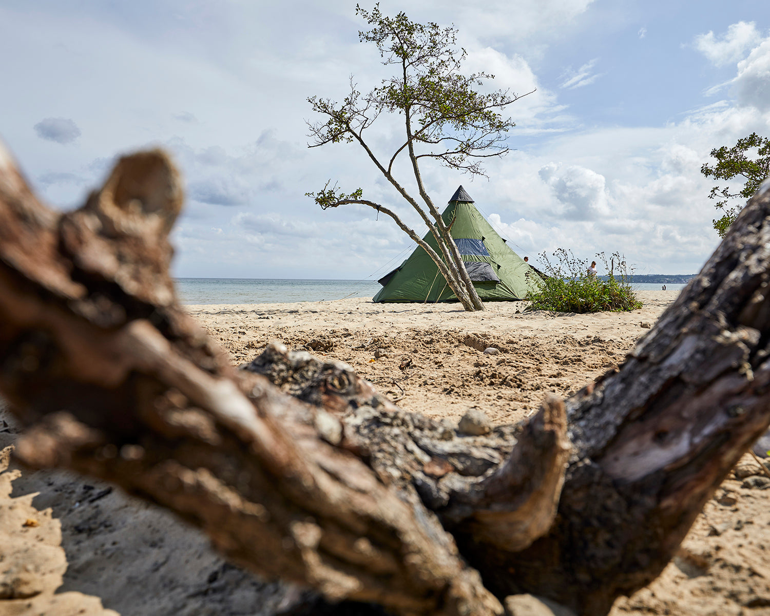 Black Falls 8 Tent, Capulet Olive