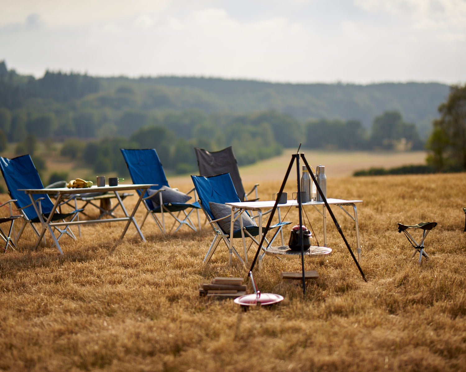 El Tovar Chair, Falcon Grey
