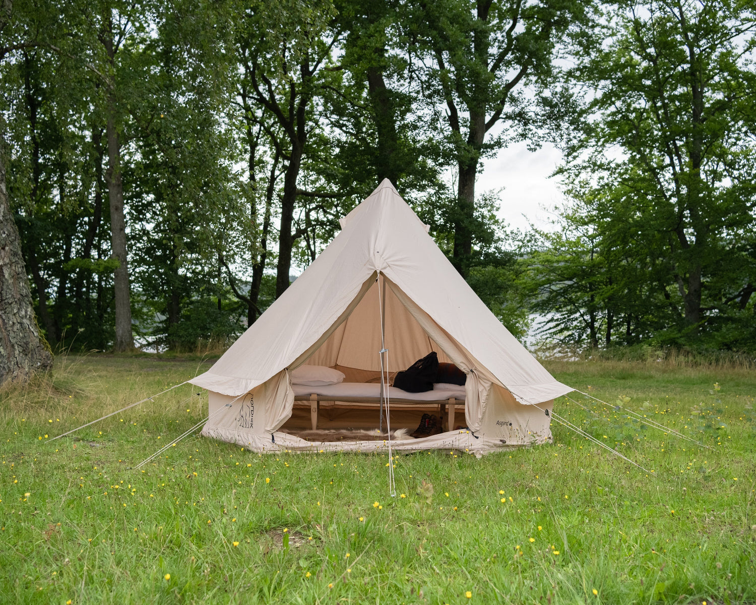 Asgard 7.1 Glampingtelt - 7.1 m² | 3 personer | Sandshell